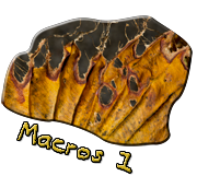 Macros-1-180.png